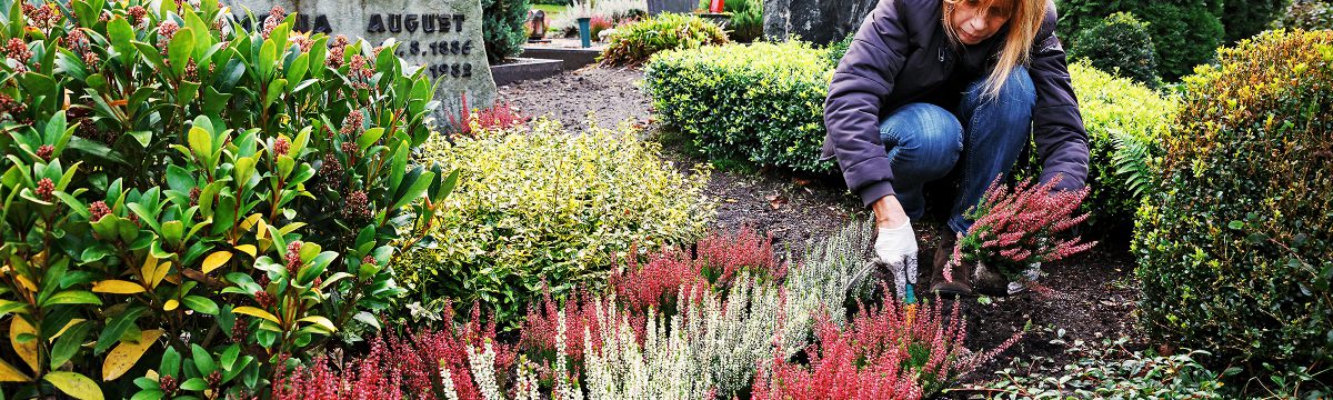 Grabpfleger & Friedhofsgärtner in Dieburg